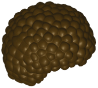 PARTS | Minifigure, Hair Bubble Style / Afro [87995]
