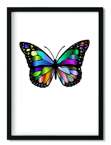 DECOR | PRINT | Colourful Butterfly - BLOCK Shop ZA